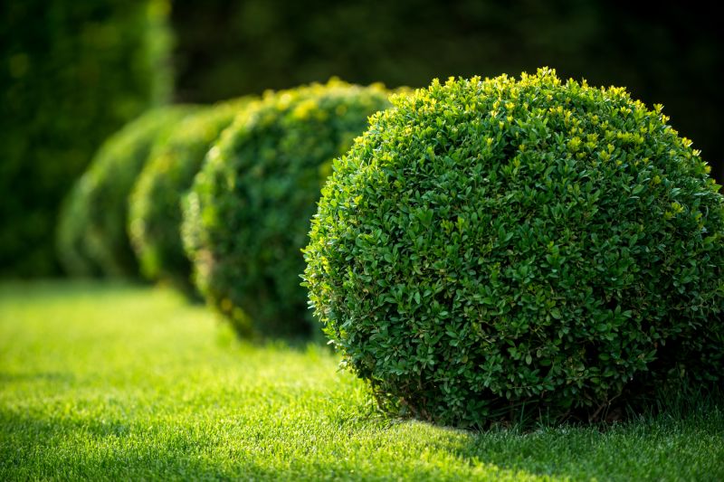 Greenery Planting in Ventura County, CA