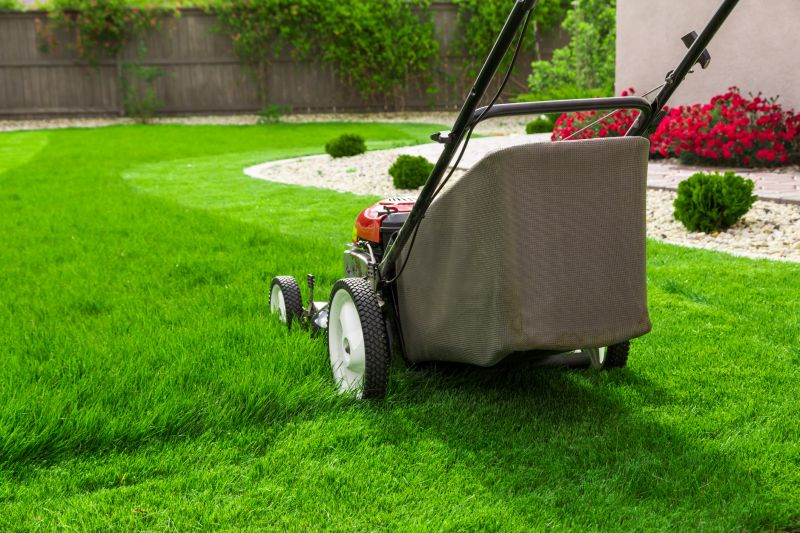 Lawn Repair