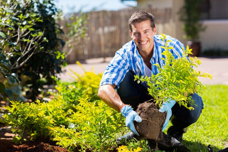Rose Bush Planting in Honolulu, HI