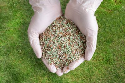 Get Fertilizing to Repair Your Lawn!