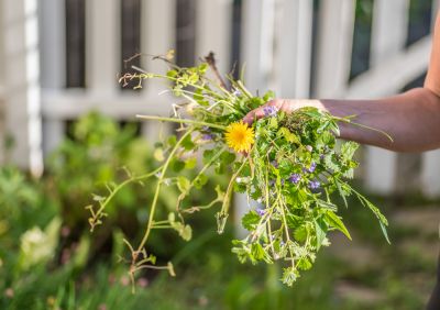 Get Weed Control to Repair Your Lawn!